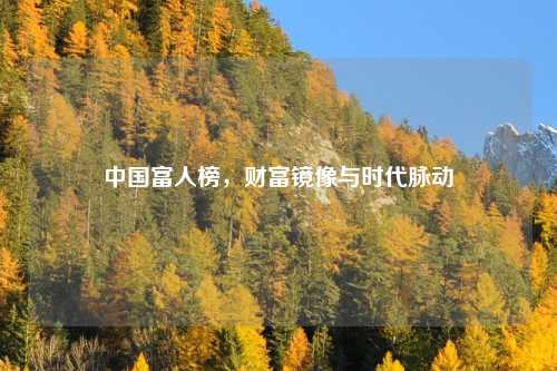 中国富人榜，财富镜像与时代脉动