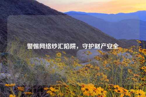 警惕网络炒汇陷阱，守护财产安全