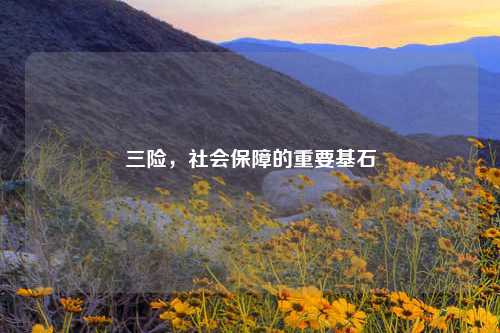 三险，社会保障的重要基石