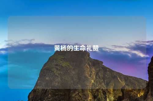 黄杨的生命礼赞