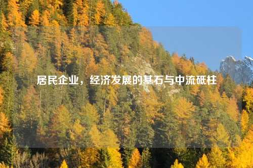 居民企业，经济发展的基石与中流砥柱