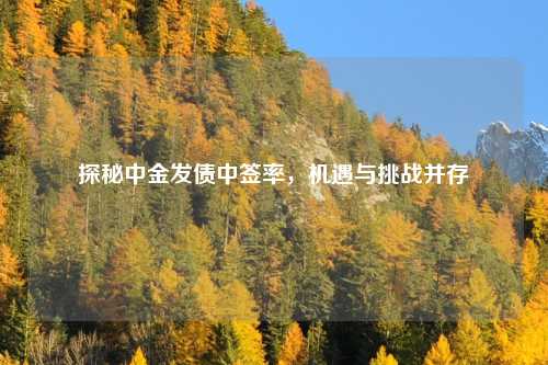探秘中金发债中签率，机遇与挑战并存