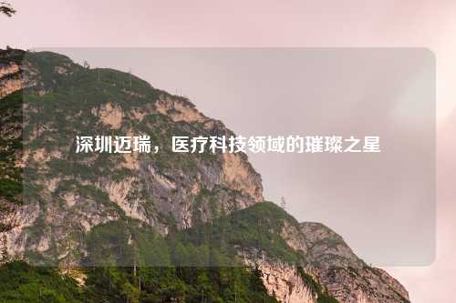 深圳迈瑞，医疗科技领域的璀璨之星
