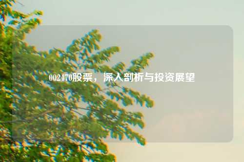 002470股票，深入剖析与投资展望