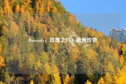 Roseonly，玫瑰之约，真爱传奇