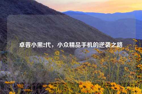 卓普小黑2代，小众精品手机的逆袭之路