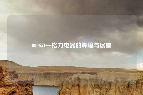 000651—格力电器的辉煌与展望