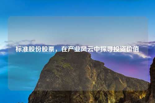 标准股份股票，在产业风云中探寻投资价值