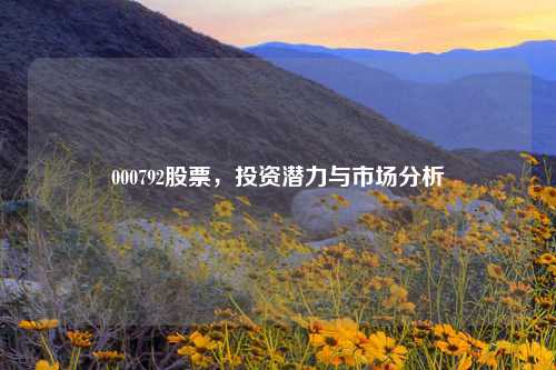 000792股票，投资潜力与市场分析