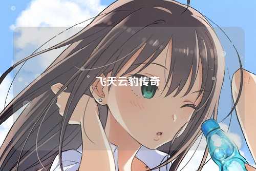 飞天云豹传奇