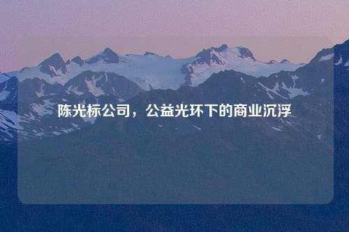 陈光标公司，公益光环下的商业沉浮