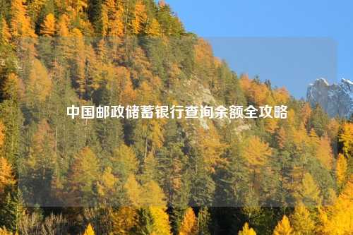 中国邮政储蓄银行查询余额全攻略