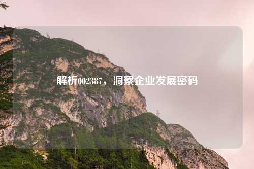 解析002387，洞察企业发展密码