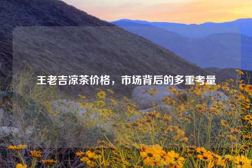 王老吉凉茶价格，市场背后的多重考量