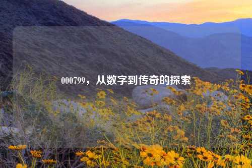 000799，从数字到传奇的探索