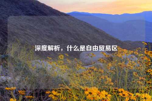 深度解析，什么是自由贸易区