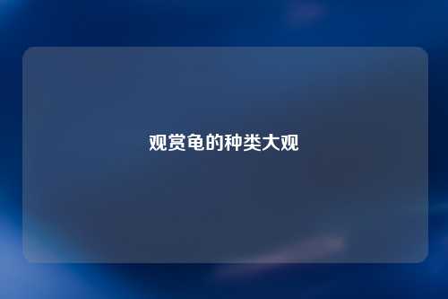 观赏龟的种类大观