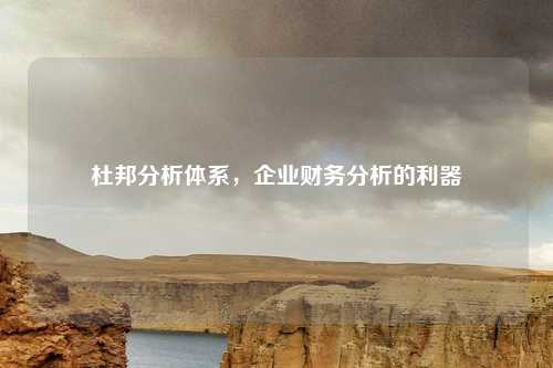 杜邦分析体系，企业财务分析的利器