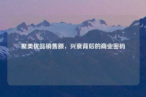 聚美优品销售额，兴衰背后的商业密码