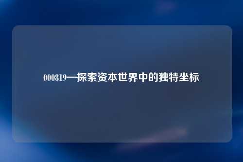 000819—探索资本世界中的独特坐标