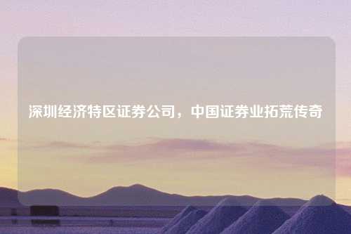 深圳经济特区证券公司，中国证券业拓荒传奇