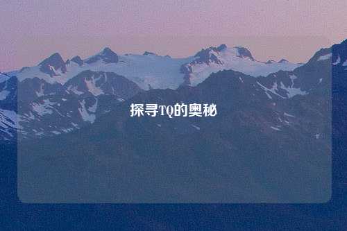 探寻TQ的奥秘