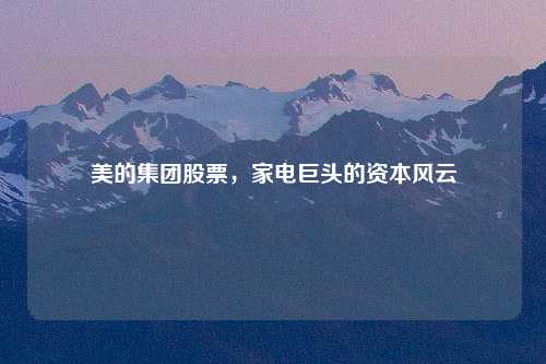 美的集团股票，家电巨头的资本风云