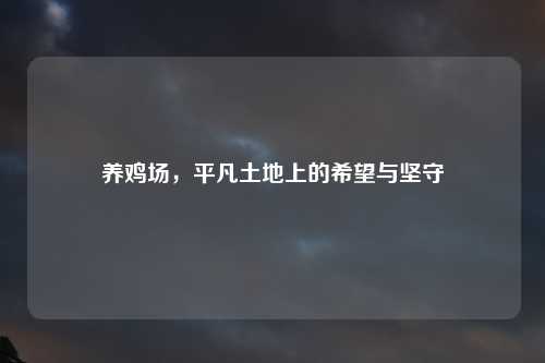 养鸡场，平凡土地上的希望与坚守