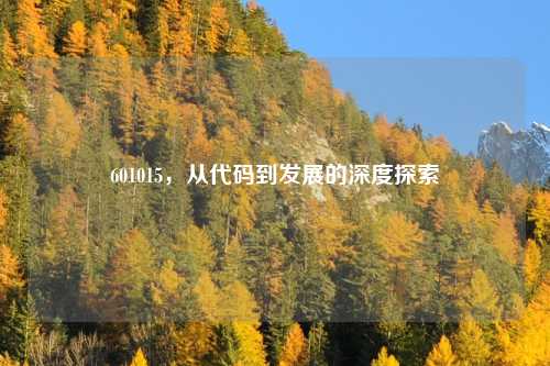 601015，从代码到发展的深度探索