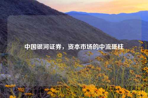 中国银河证券，资本市场的中流砥柱