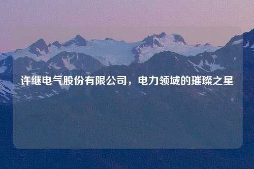 许继电气股份有限公司，电力领域的璀璨之星