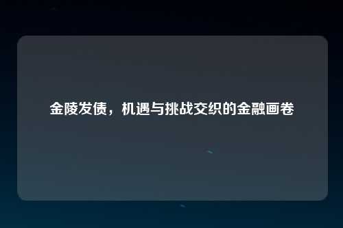 金陵发债，机遇与挑战交织的金融画卷