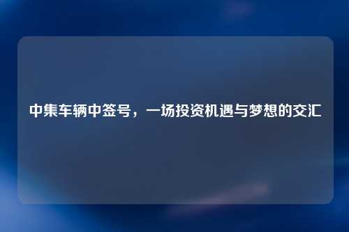中集车辆中签号，一场投资机遇与梦想的交汇