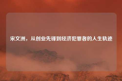 宋文洲，从创业先锋到经济犯罪者的人生轨迹