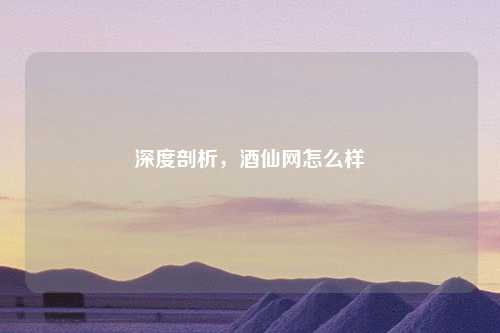 深度剖析，酒仙网怎么样