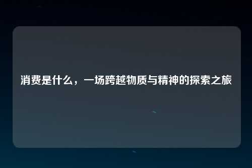 消费是什么，一场跨越物质与精神的探索之旅