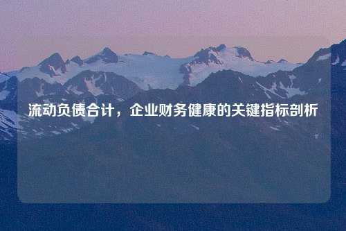 流动负债合计，企业财务健康的关键指标剖析