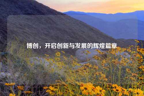 博创，开启创新与发展的辉煌篇章