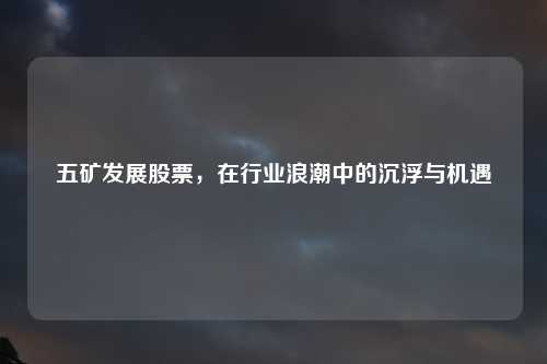 五矿发展股票，在行业浪潮中的沉浮与机遇
