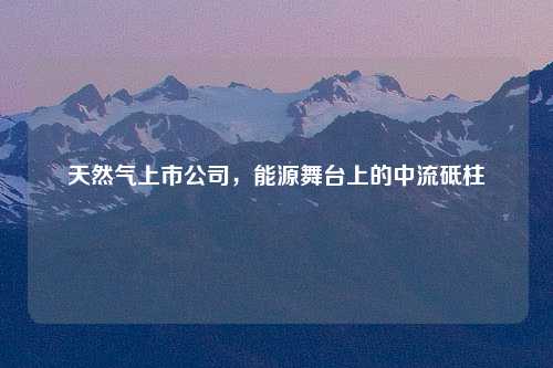 天然气上市公司，能源舞台上的中流砥柱