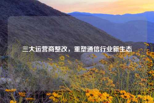 三大运营商整改，重塑通信行业新生态