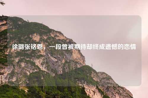 徐璐张铭恩，一段曾被期待却终成遗憾的恋情