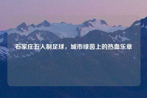 石家庄五人制足球，城市绿茵上的热血乐章
