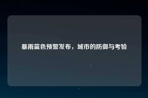 暴雨蓝色预警发布，城市的防御与考验