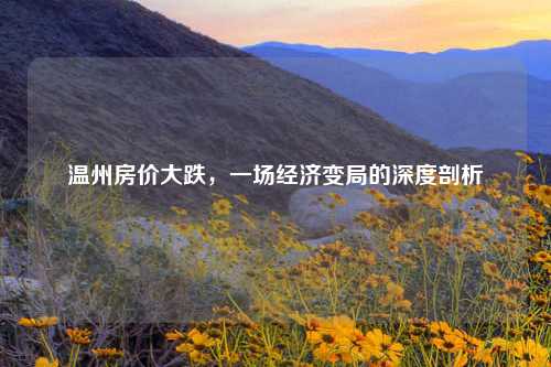 温州房价大跌，一场经济变局的深度剖析
