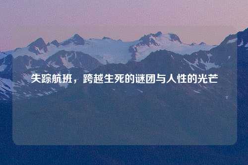 失踪航班，跨越生死的谜团与人性的光芒