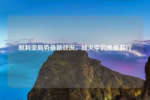 叙利亚局势最新战况，战火中的艰难前行