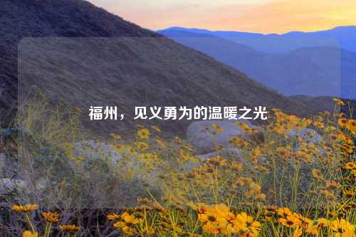 福州，见义勇为的温暖之光